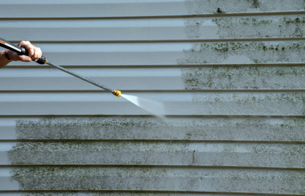 Best Certified Mold Removal  in Central, TN