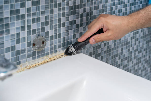 Best Mold Removal Near Me  in Central, TN